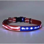 Yellow Dog ORION LED Dog Collar Americana Small