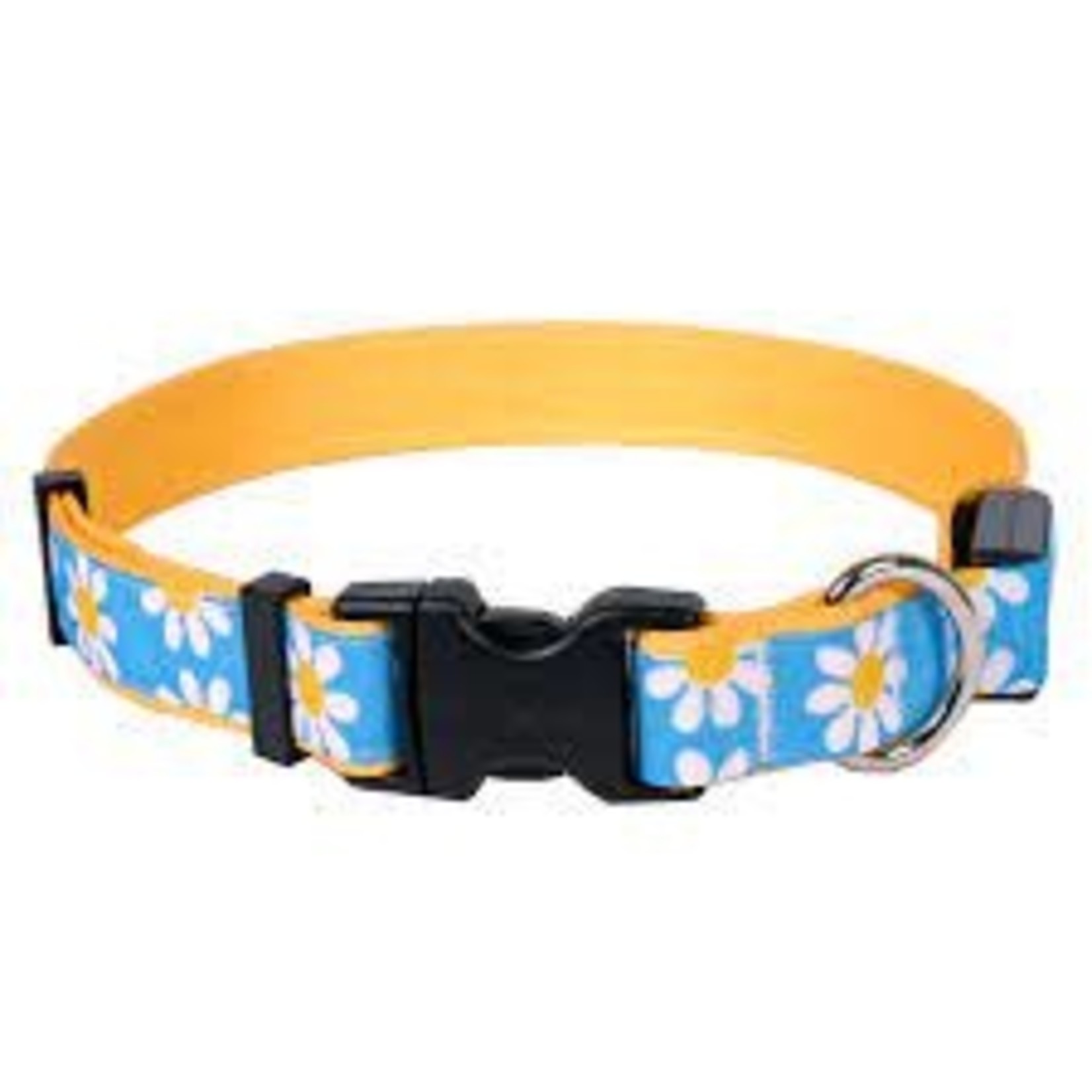 Yellow Dog ORION LED Dog Collar Blue Daisy Small