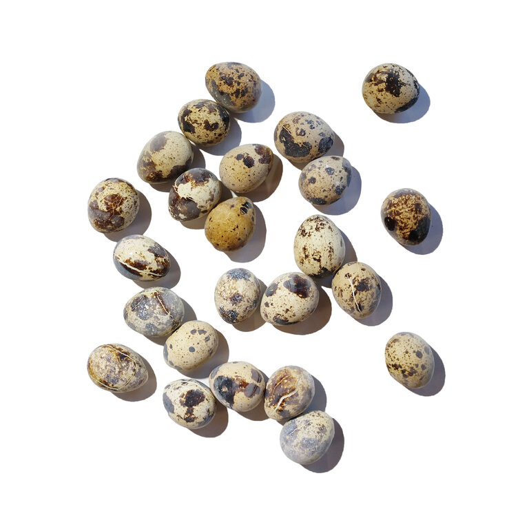 Savage Cat Savage Cat Frozen Quail Eggs 24/box