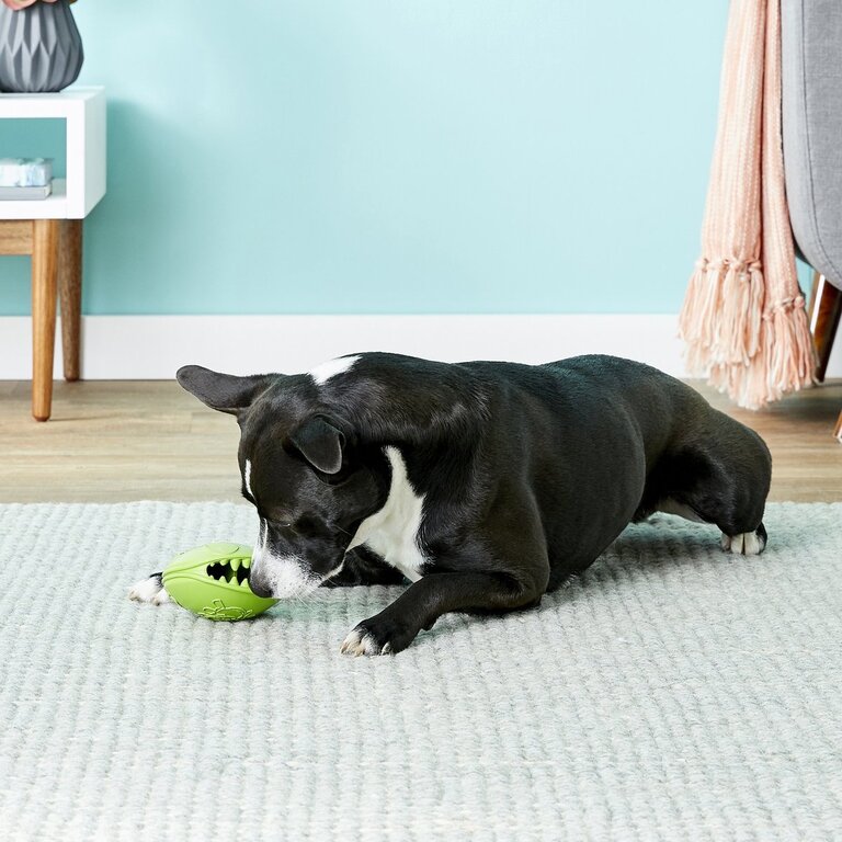 Jolly Pets Jolly Pets Monster Mouth  Green 4"