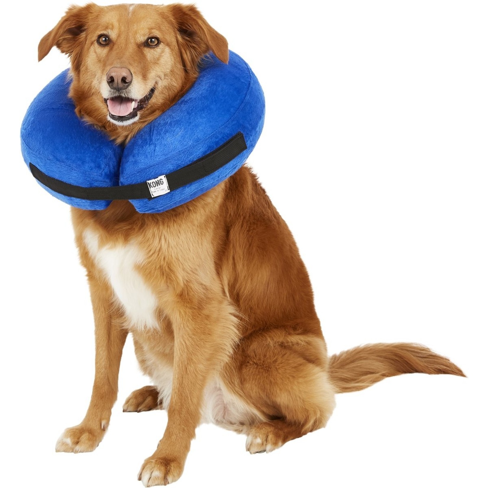 kong cloud collar for dogs 