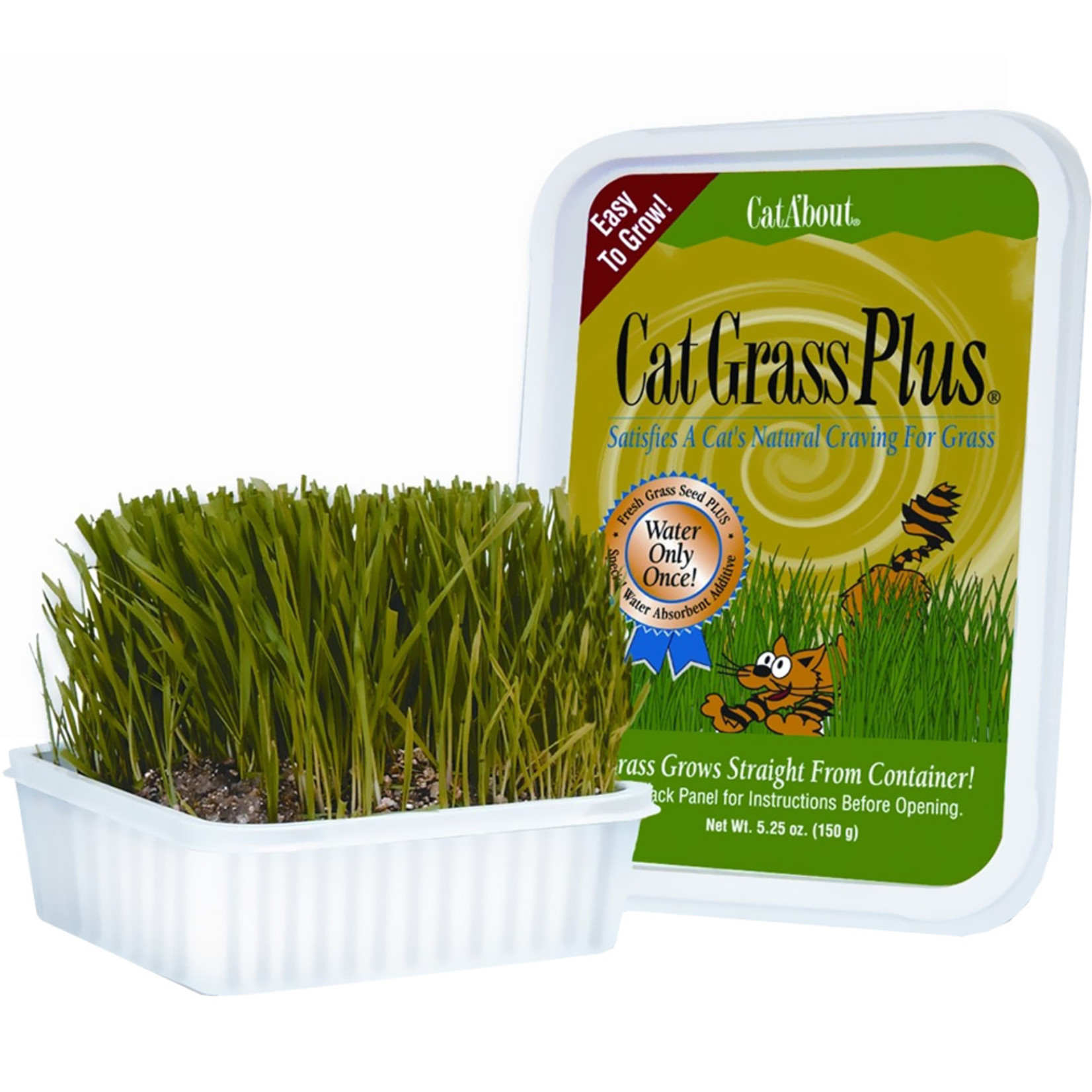 Miracle Care Miracle Care Gimpet Cat Grass 150g