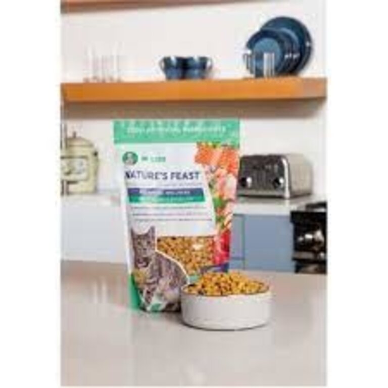 Dr Marty's DR MARTY FZDR  BSP CAT BF/SLM/PLTRY FZDR NAT FST 12Z