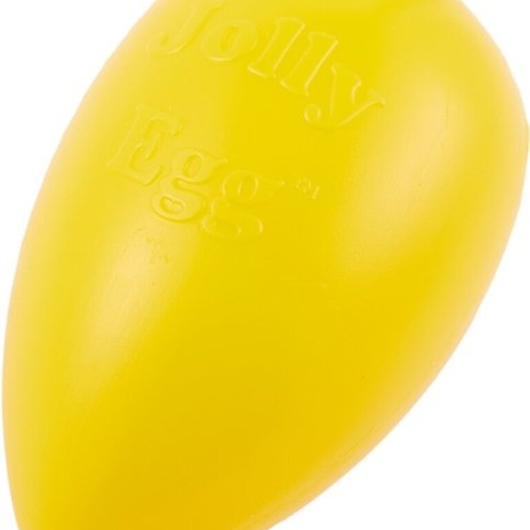 Jolly Pets JOLLY PETS EGG 8" yellow