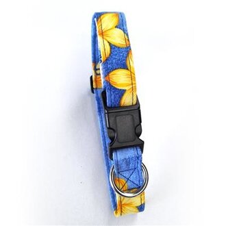 Beach Dog Beach Dog Key West Blue M Collar