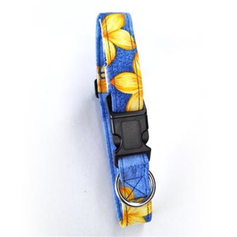 Beach Dog Beach Dog Key West Blue M Collar