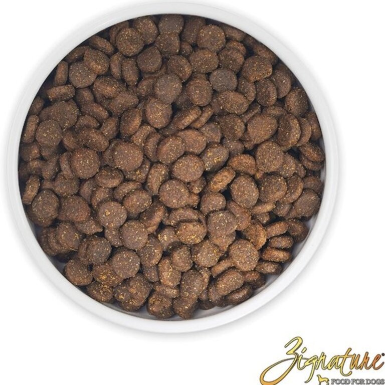 Zignature Zignature Trout & Salmon Meal Formula Dog Food 12.5 lb