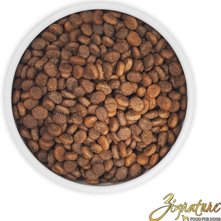 Zignature Zignature Dog Whitefish Formula 12.5#
