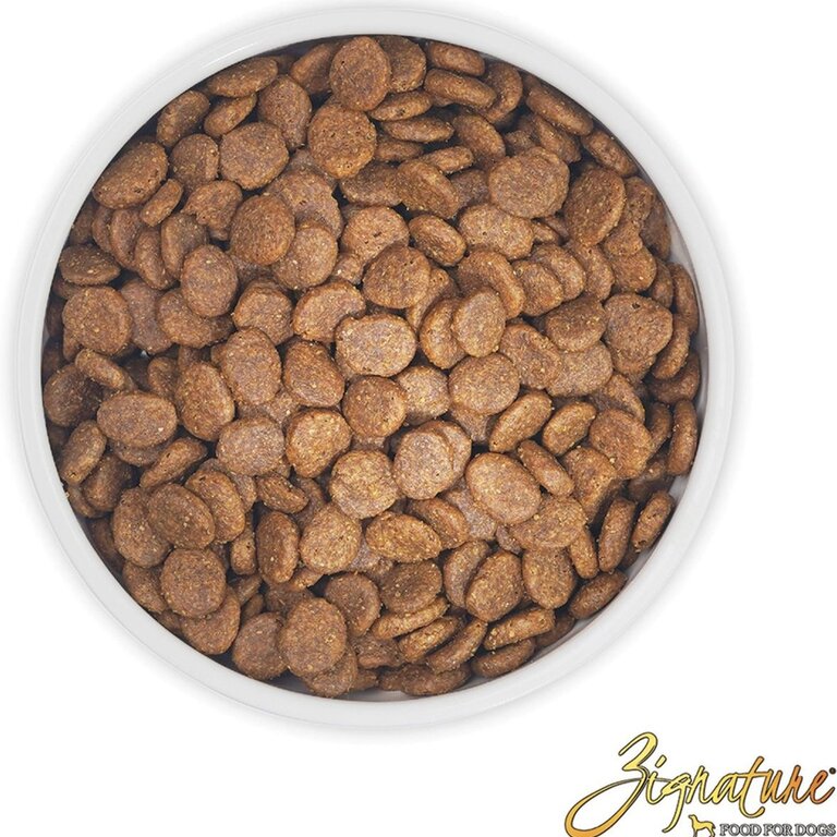 Zignature Zignature Dog Salmon Formula 4#