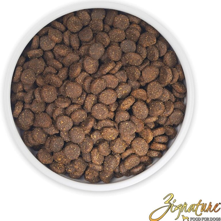Zignature Zignature Dog Trout & Salmon Meal Formula 4#