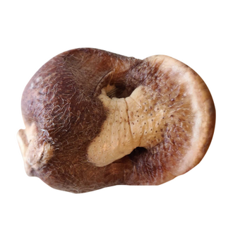 Bones & Co. BONES & CO FD DOG TREATS PIG / SNOUTS