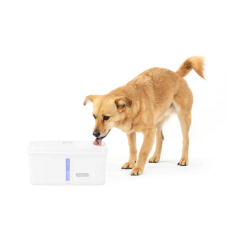 Petsafe PETSAFE WATER FOUNTAIN VIVA 140 OZ