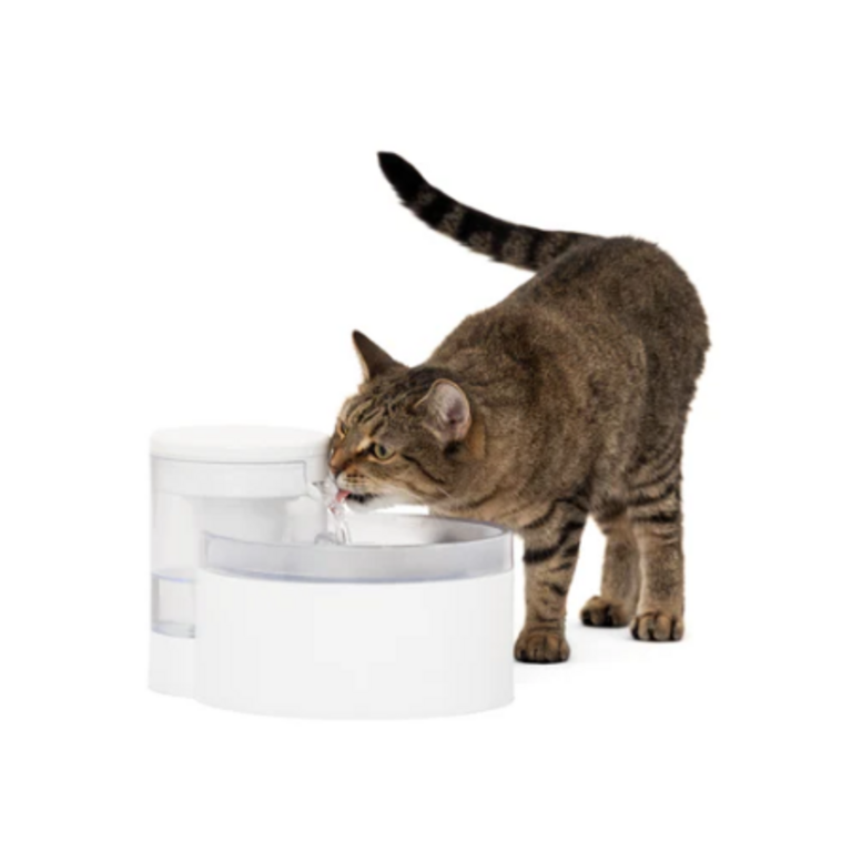 Petsafe PETSAFTE WATER FOUNTAIN OUTLAST PUMPLESS 60 OZ