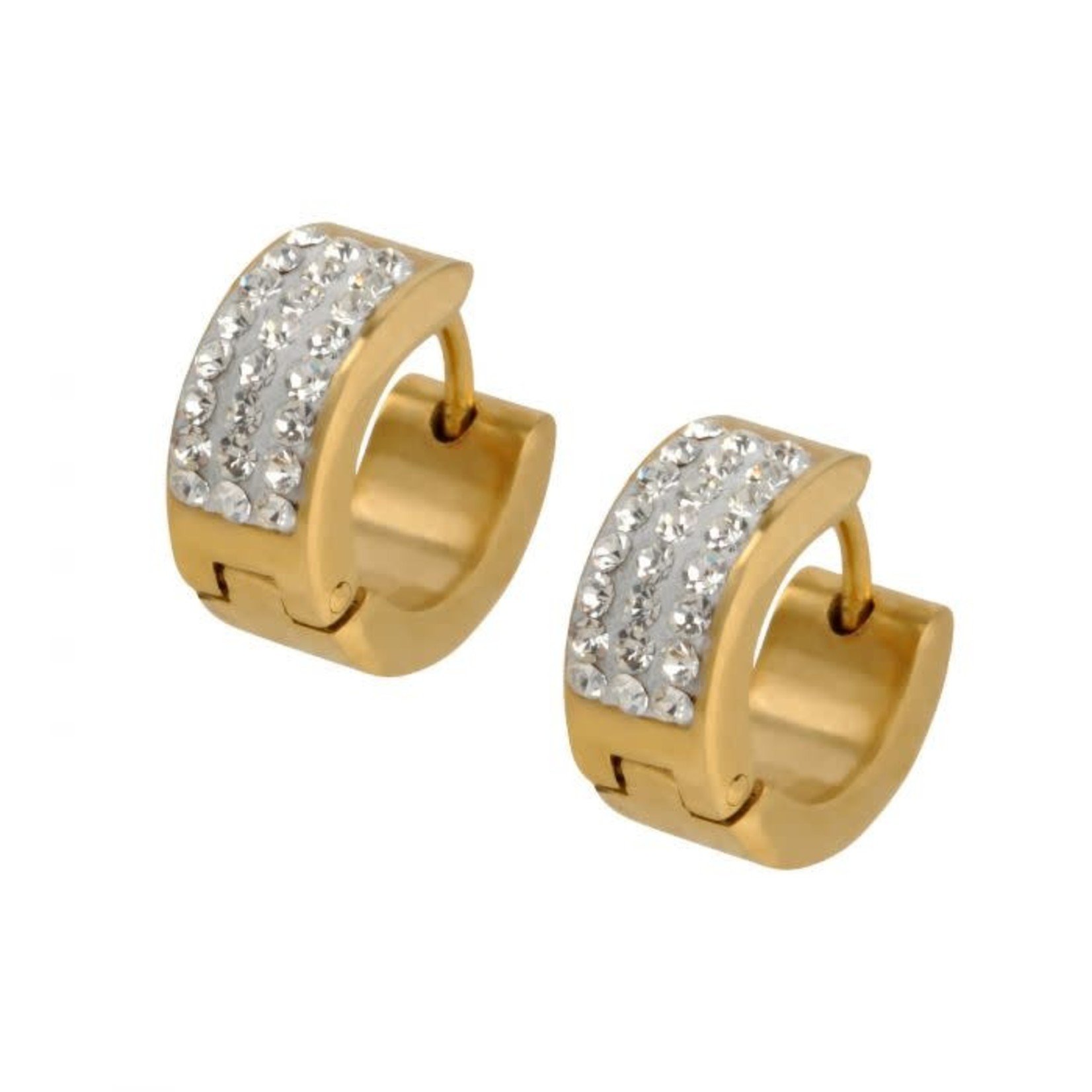INOX Clear Pave Set CZ Stones in Plated Gold Huggies Earrings