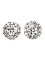 OSTBYE & ANDERSON 14KW Lab-Created Diamond Halo Earrings 1.00CTTW