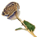 QUALITY GOLD OF CINCINNATI INC Lacquer Dipped 24K Gold Trimmed White/Twilight Pearl Rose