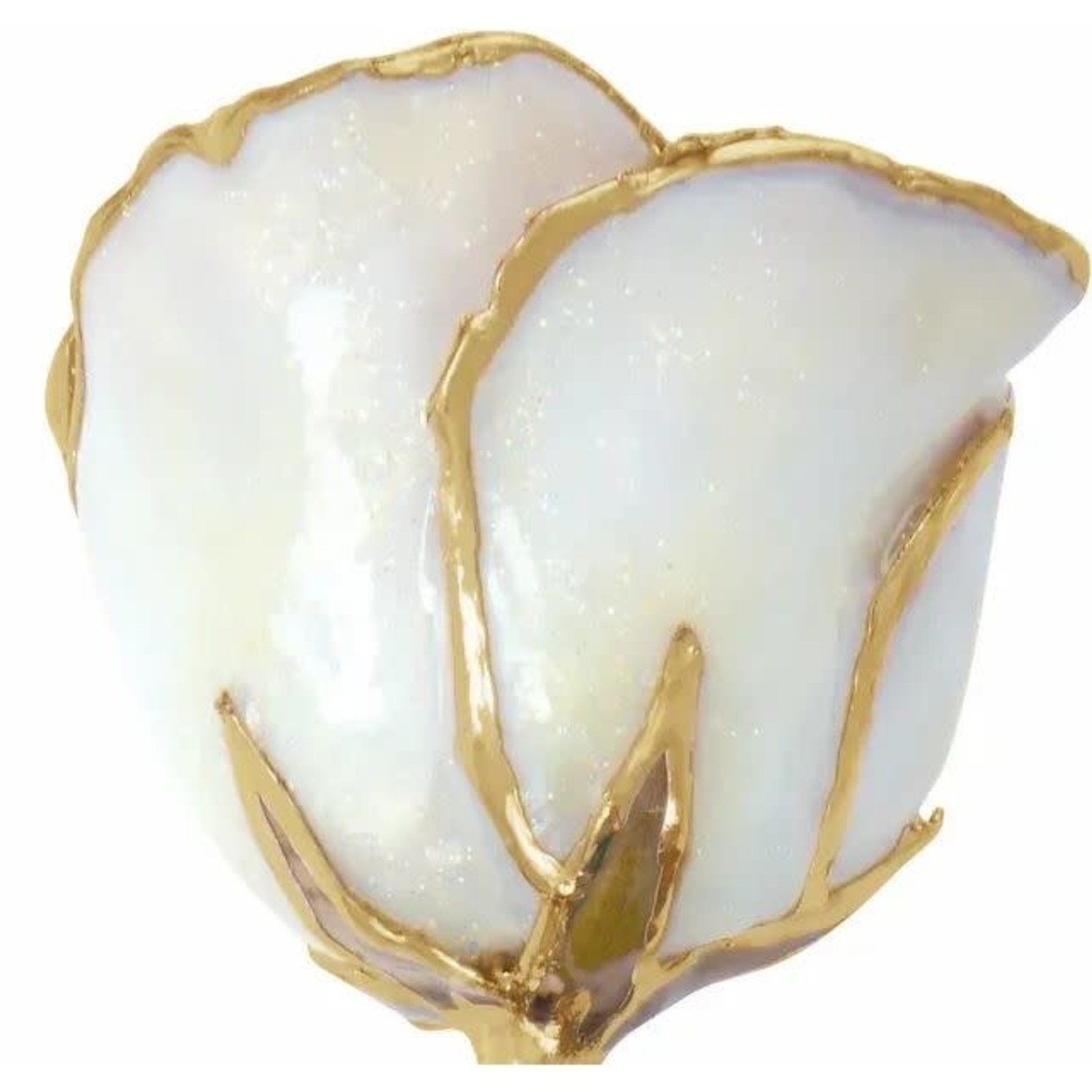 STULLER INC. Lacquer Dipped 24K Gold Trimmed Sparkle White Rose