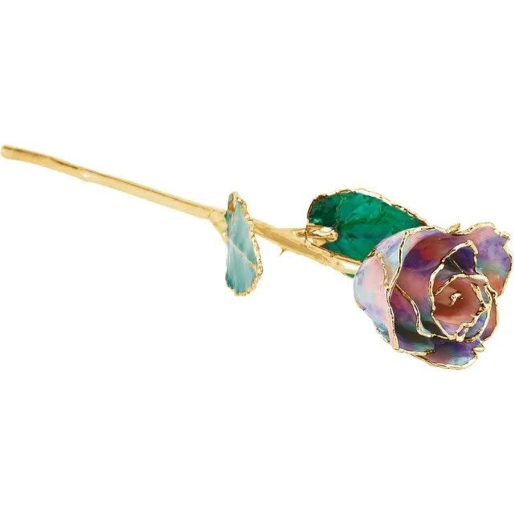STULLER INC. Lacquer Dipped 24K Gold Trimmed Opal Rose