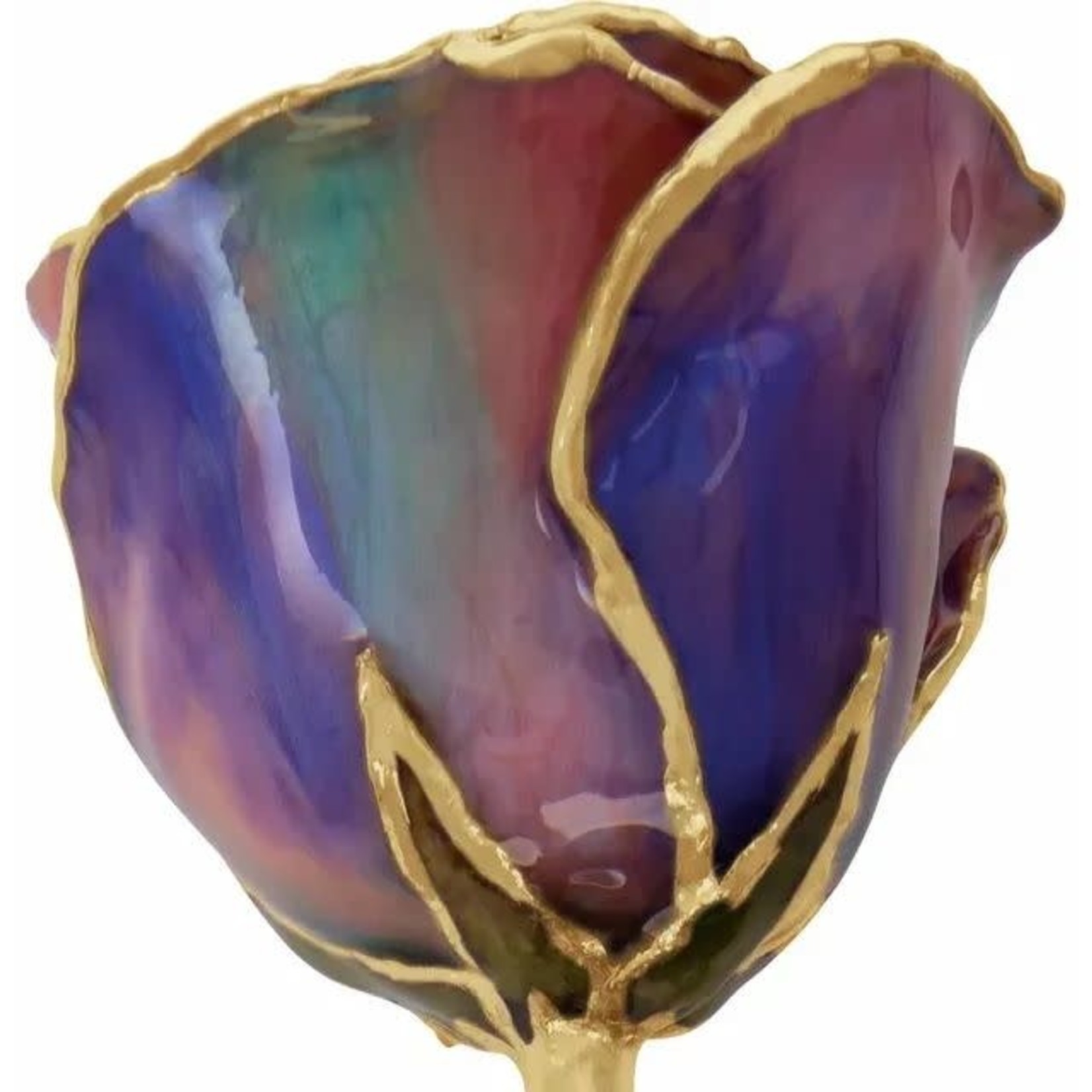 STULLER INC. Lacquer Dipped 24K Gold Trimmed Opal Rose