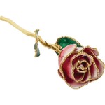 STULLER INC. Lacquer Dipped 24K Gold Trimmed Frozen White/Red Rose