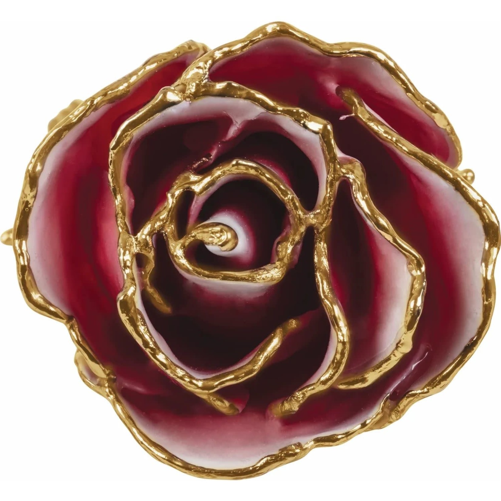 STULLER INC. Lacquer Dipped 24K Gold Trimmed Frozen White/Red Rose