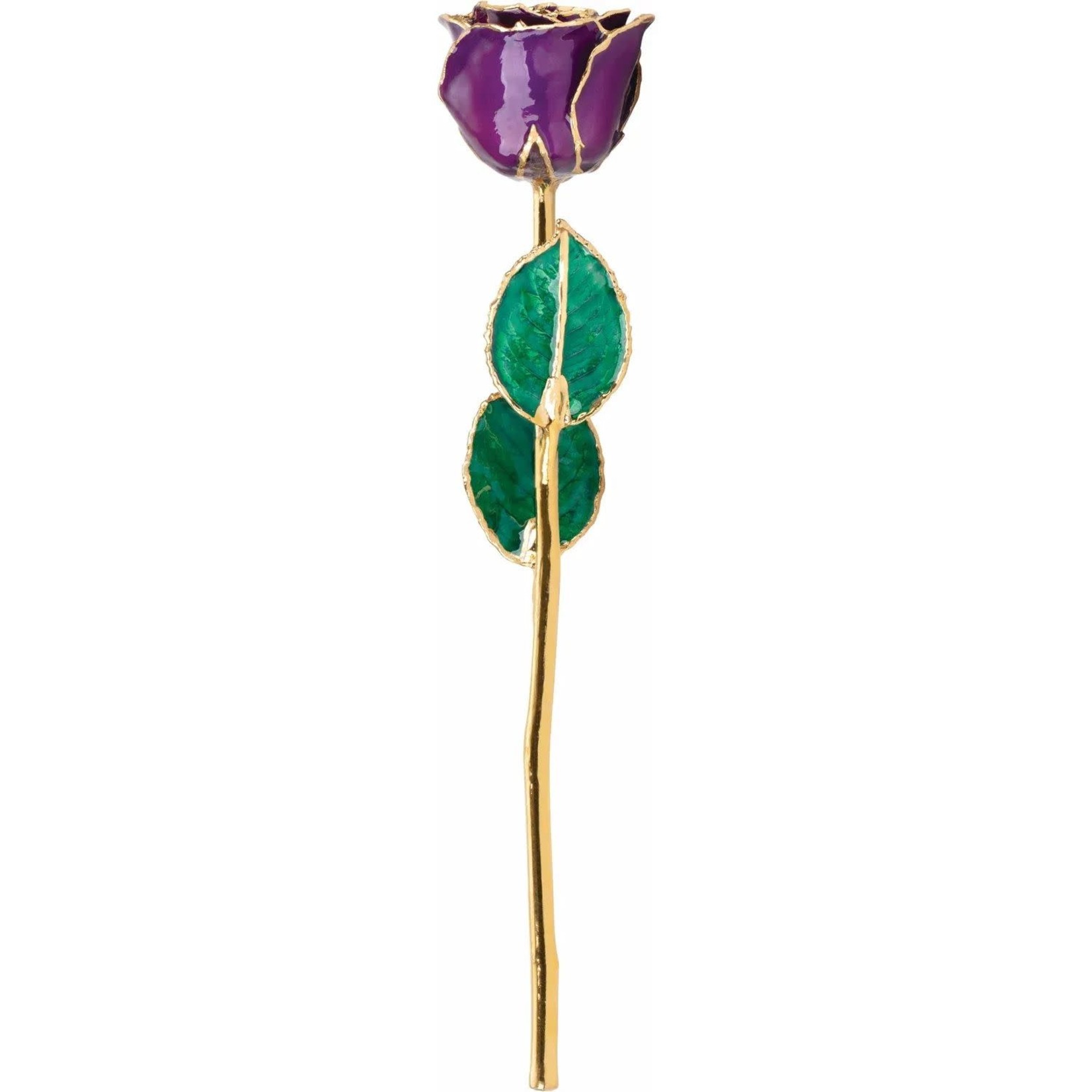 STULLER INC. Lacquer Dipped 24K Gold Trimmed Purple Rose