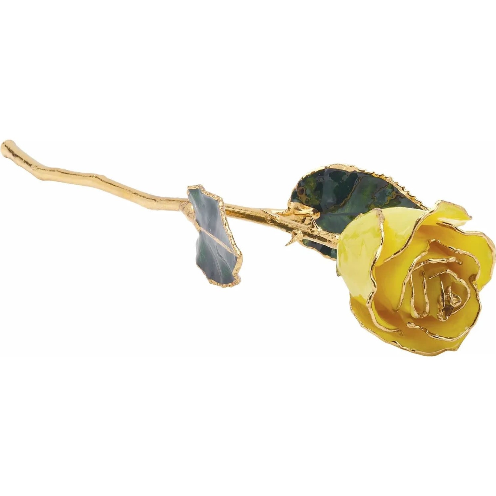 STULLER INC. Lacquer Dipped 24K Gold Trimmed Yellow Rose