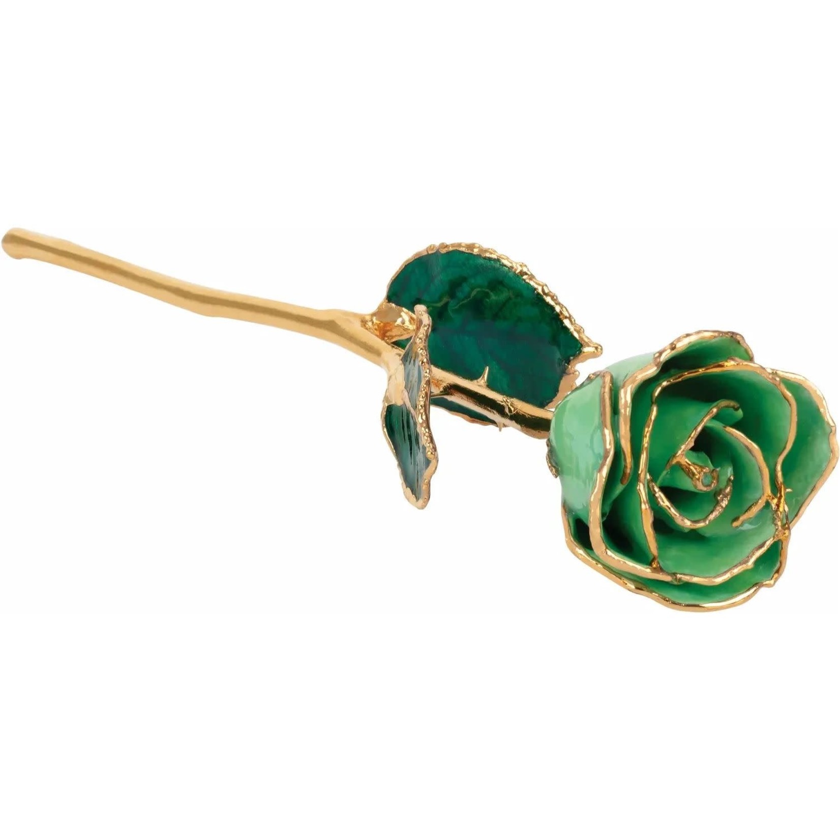 STULLER INC. Lacquer Dipped 24K Gold Trimmed Peridot Rose