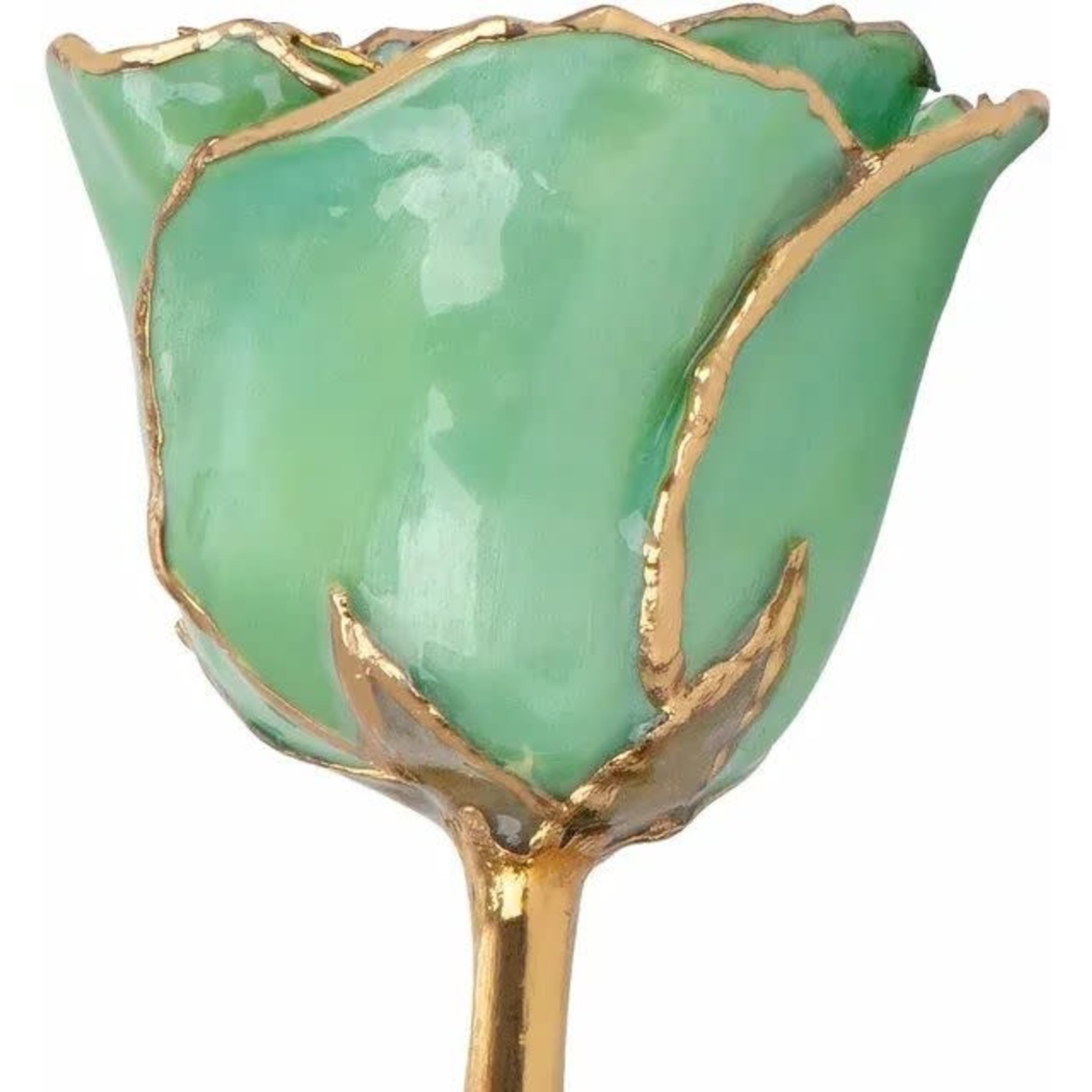 STULLER INC. Lacquer Dipped 24K Gold Trimmed Peridot Rose