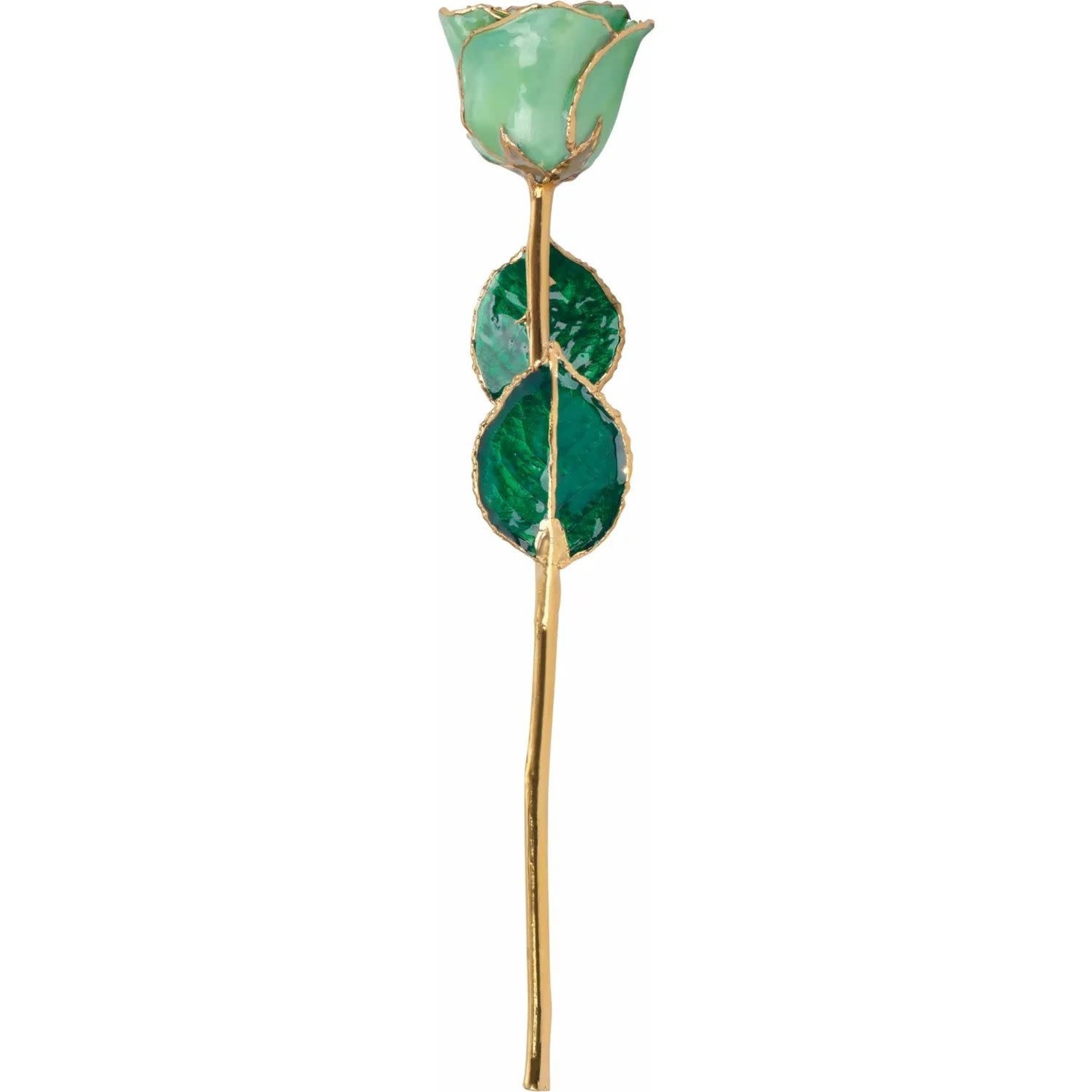 STULLER INC. Lacquer Dipped 24K Gold Trimmed Peridot Rose