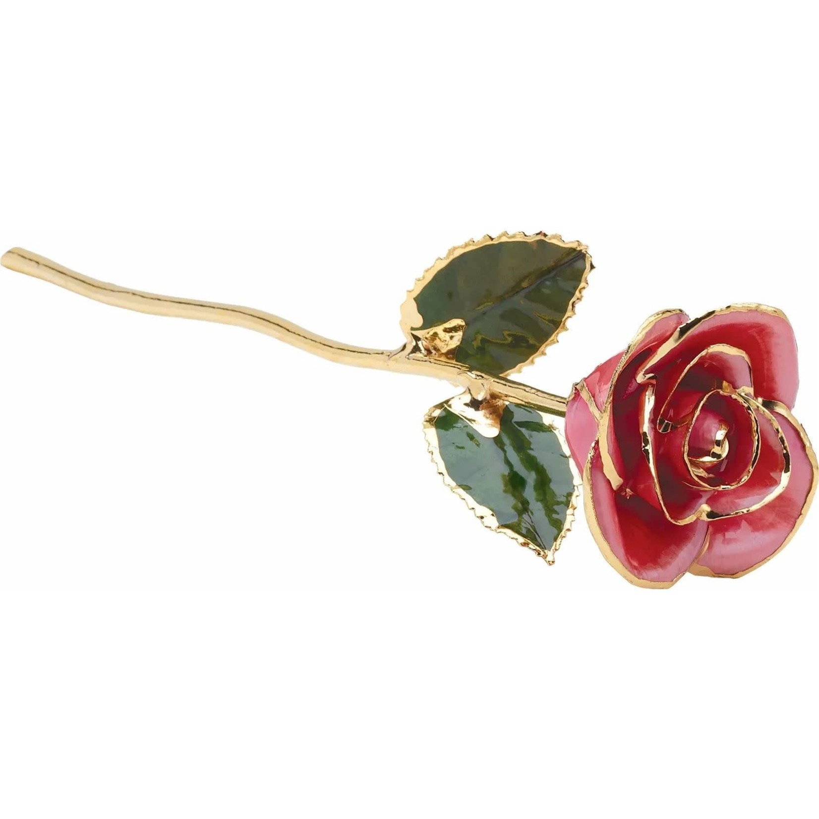 STULLER INC. Lacquer Dipped 24K Gold Trimmed Pink Rose