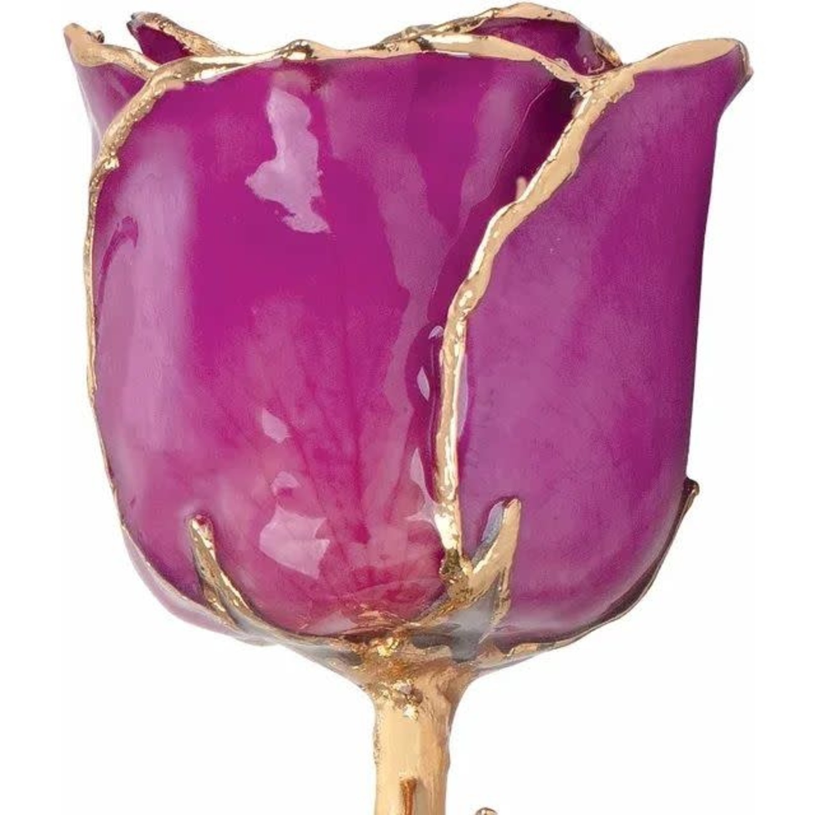 STULLER INC. Lacquer Dipped 24K Gold Trimmed Amethyst Rose