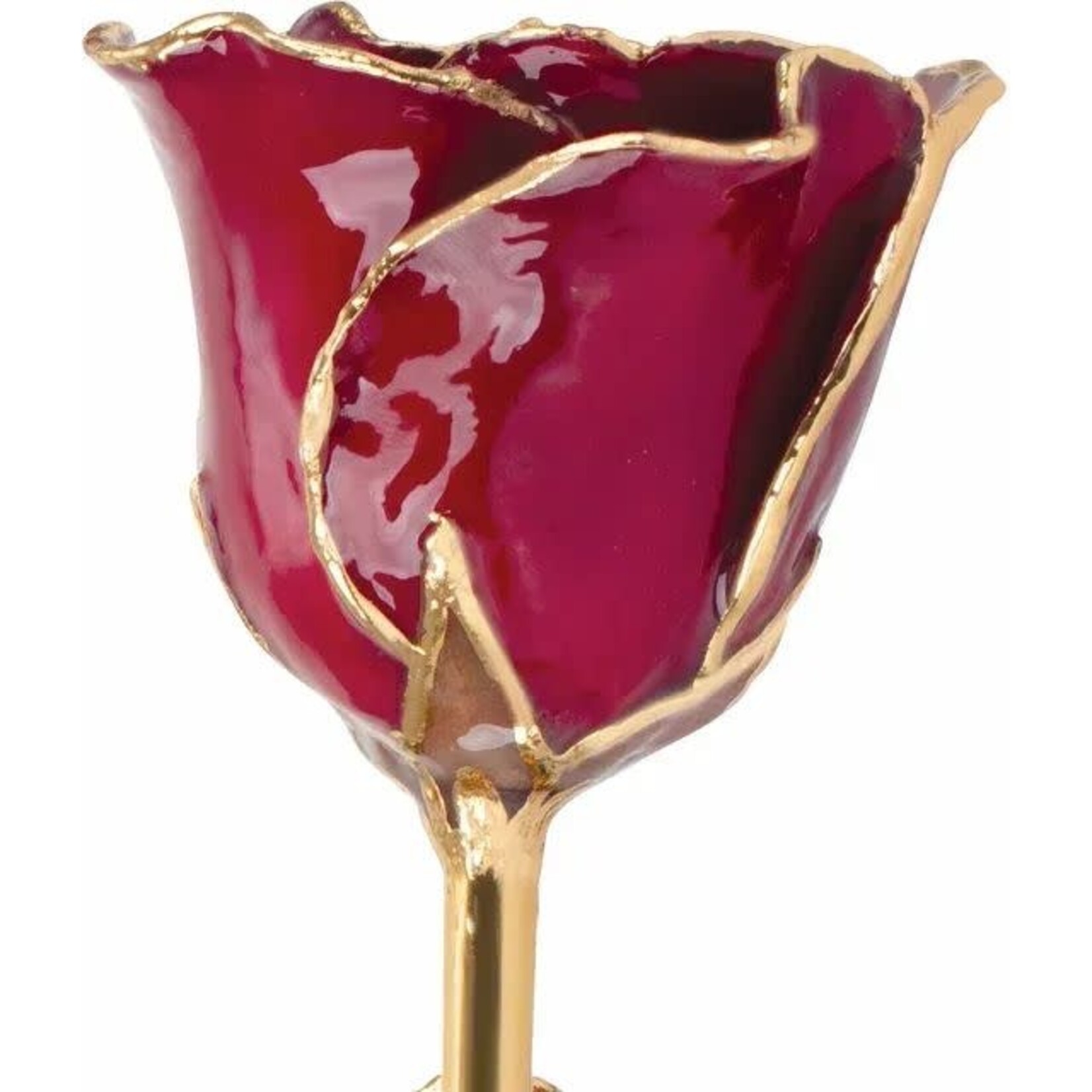 STULLER INC. January Garnet Colored Lacquered Gold Trim Rose