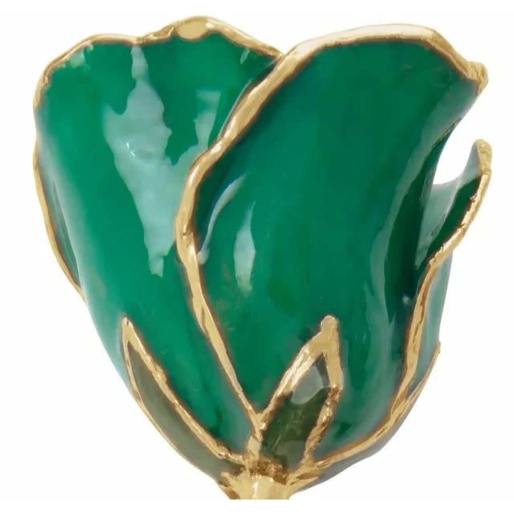 STULLER INC. Green/Emerald May Colored Lacquer Dipped 24K Gold Trimmed Rose