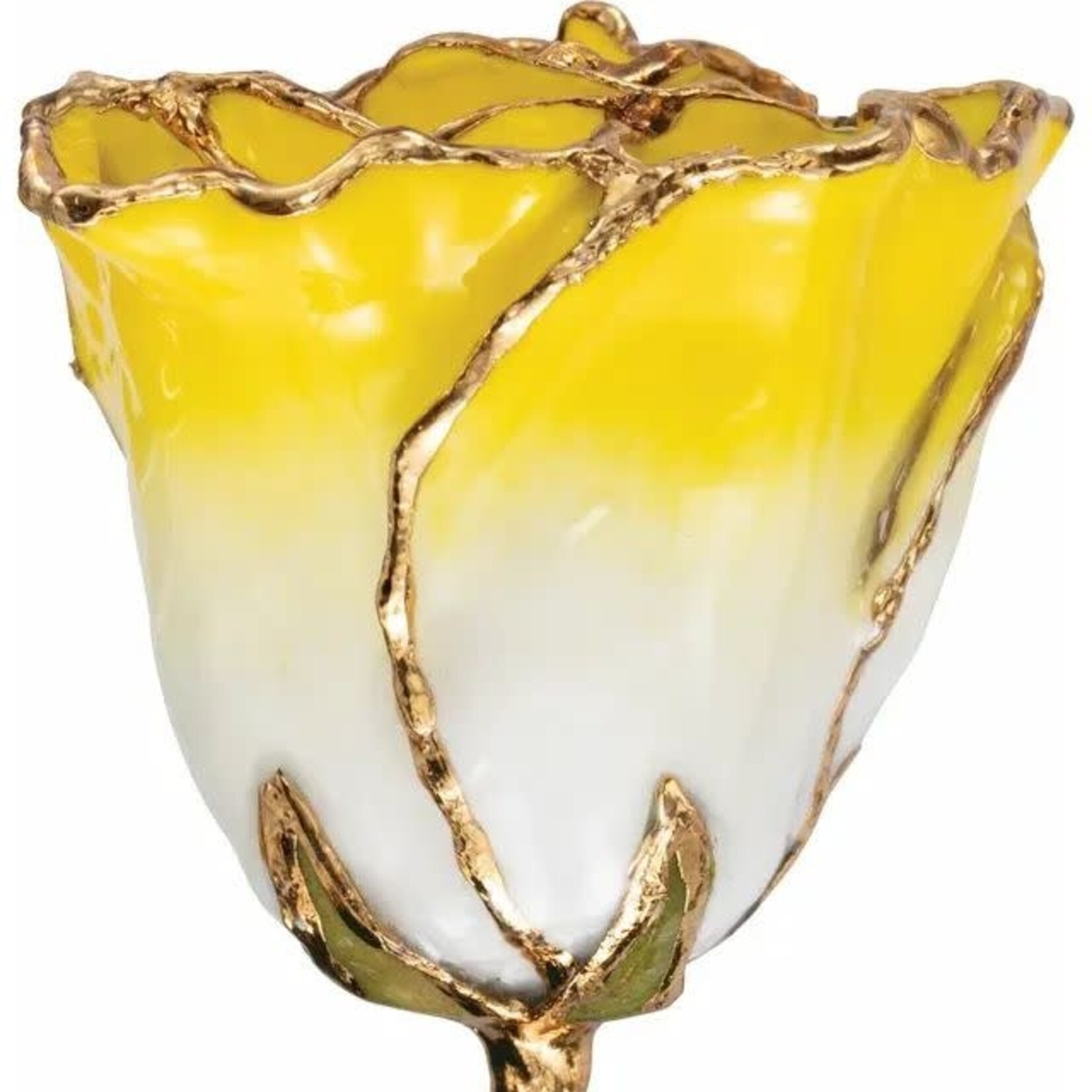 STULLER INC. Lacquered Yellow/White 24K Gold-Plated Rose