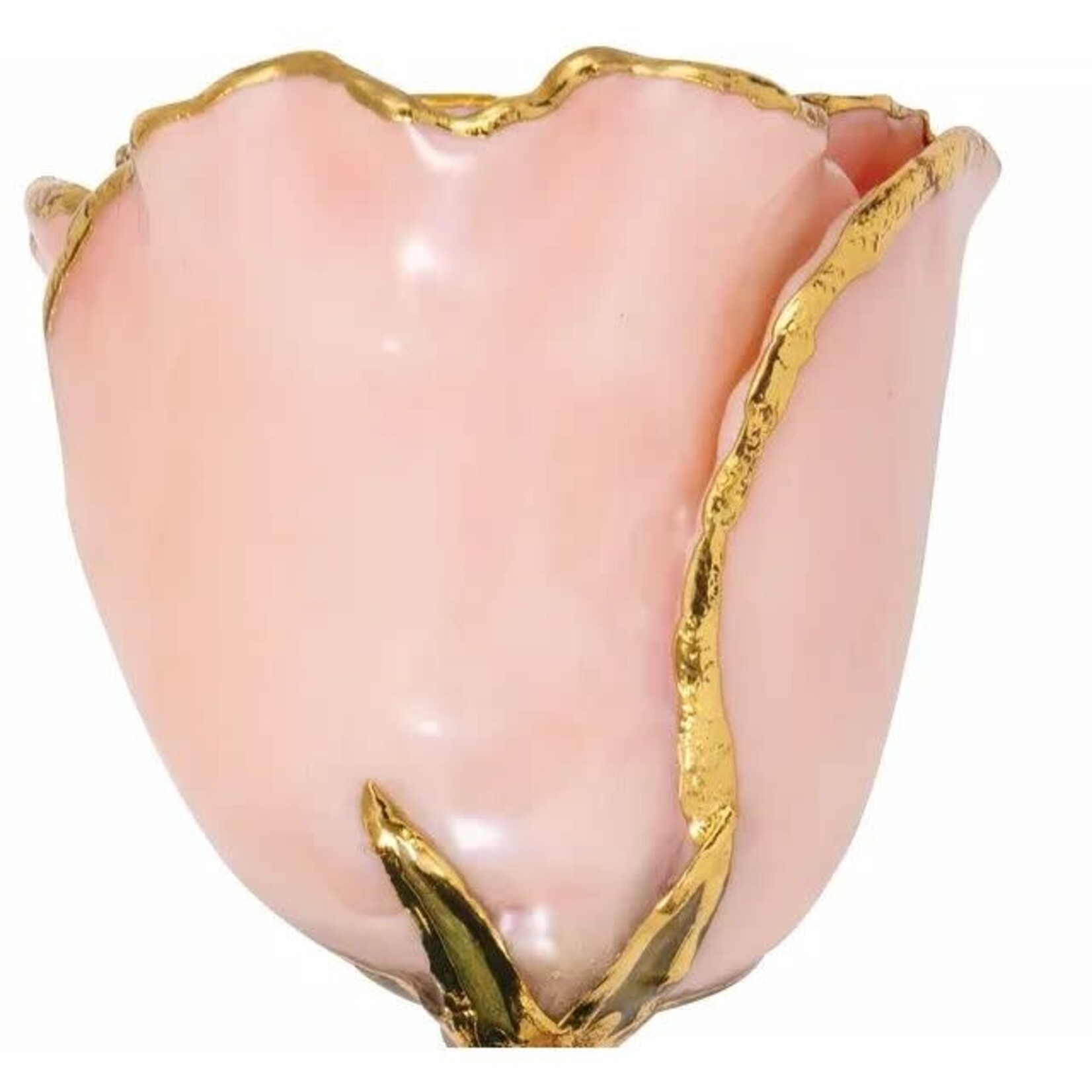 STULLER INC. 24K Gold-Plated Pink Lacquered Rose