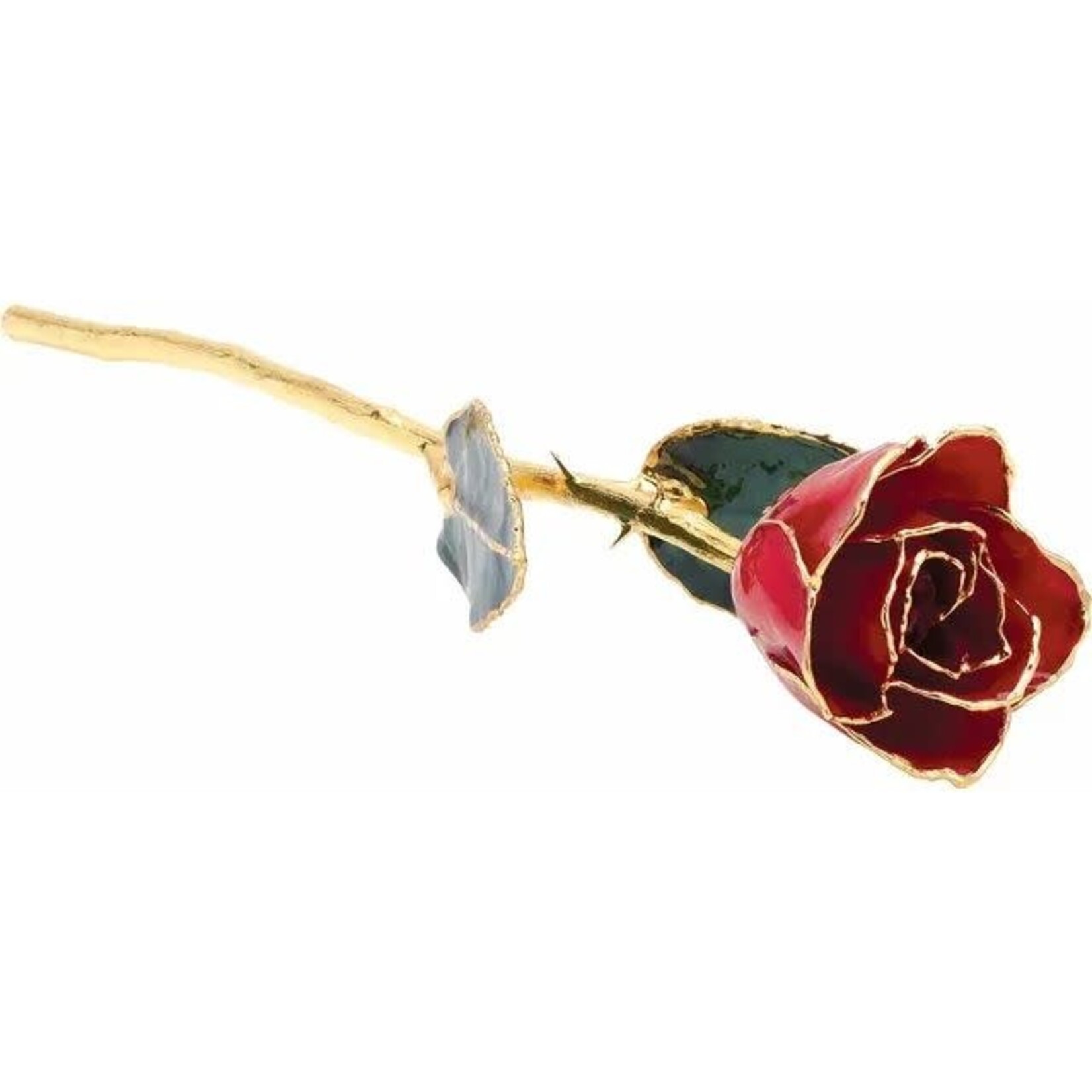STULLER INC. 24K Gold Plated & Lacquered Red Rose
