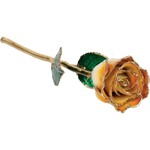 STULLER INC. 24K Gold Plated Lacquered Cream & Orange Rose