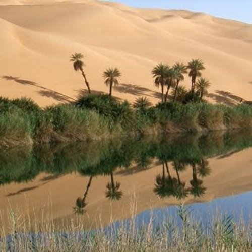 Desert Oasis Desert Oasis