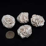 Desert Rose | Selenite | 10-25mm
