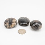 Black Moonstone | Palm Stone | 45-55mm | Madagascar