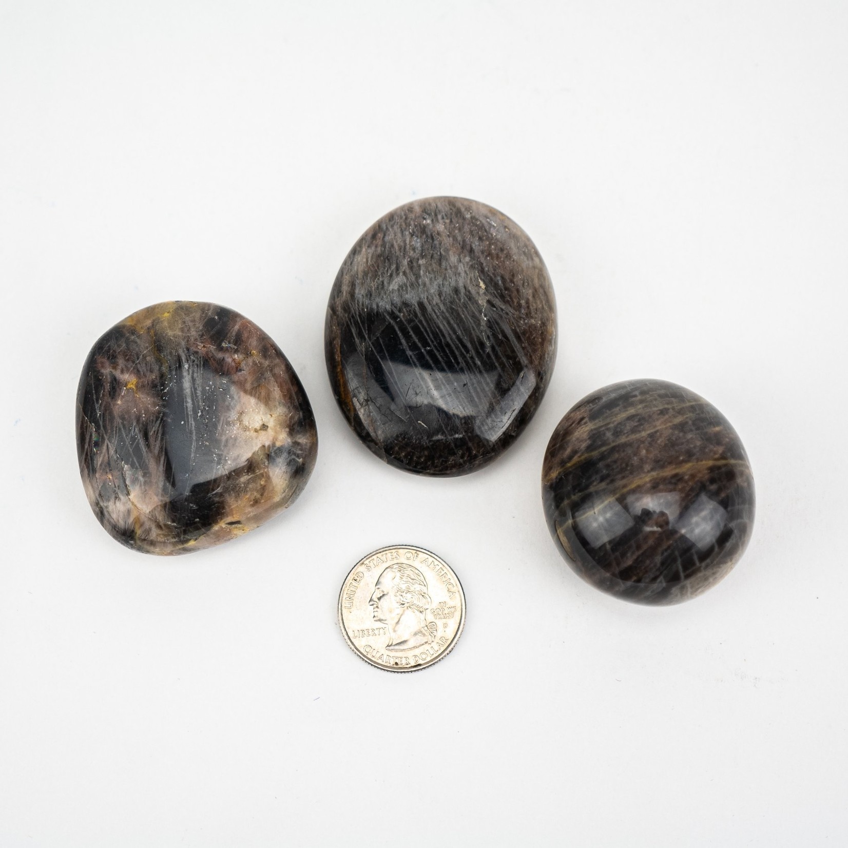 Black Moonstone | Palm Stone | 45-55mm | Madagascar