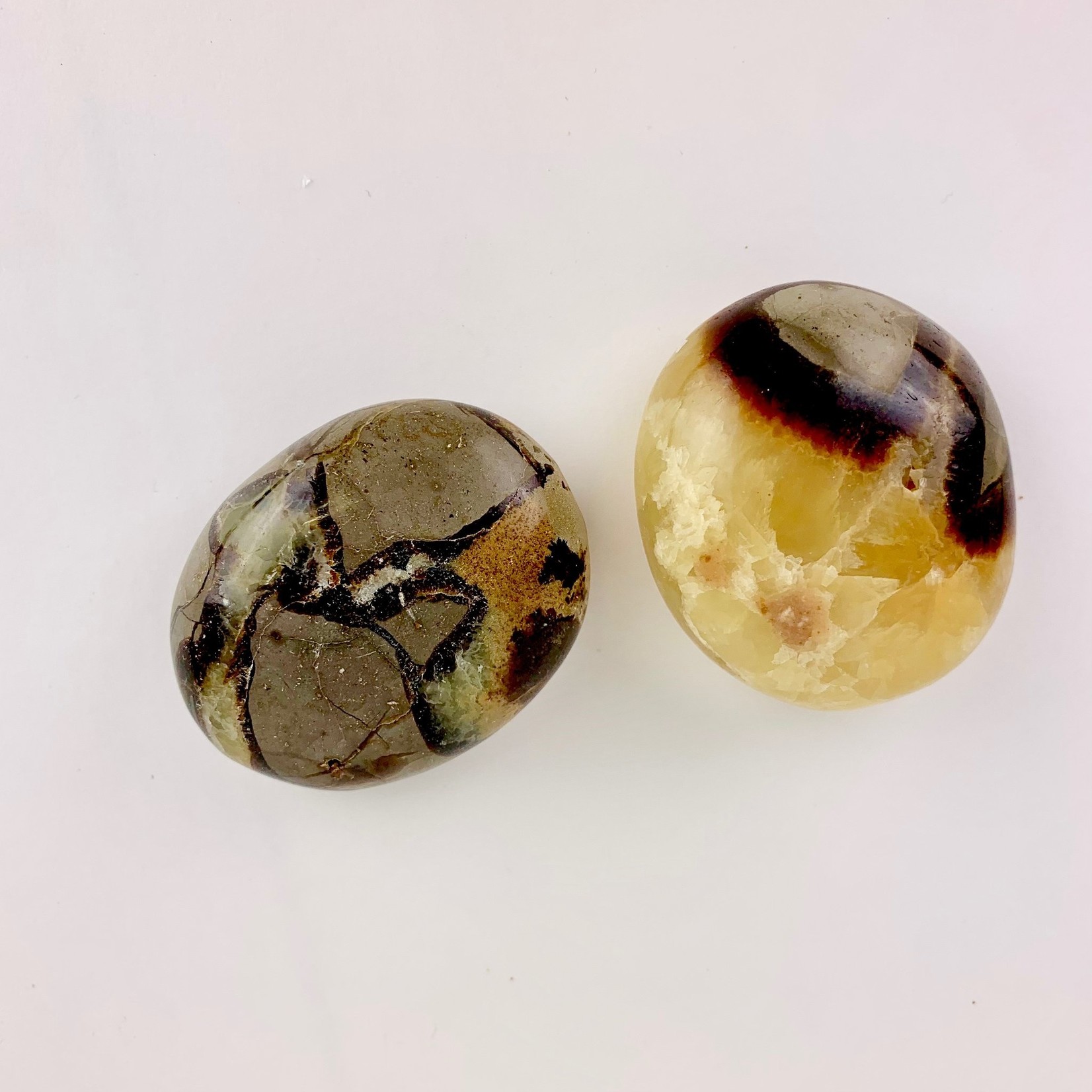 Septarian "Dragon Stone" | Palmstone | 40-50mm | Madagascar