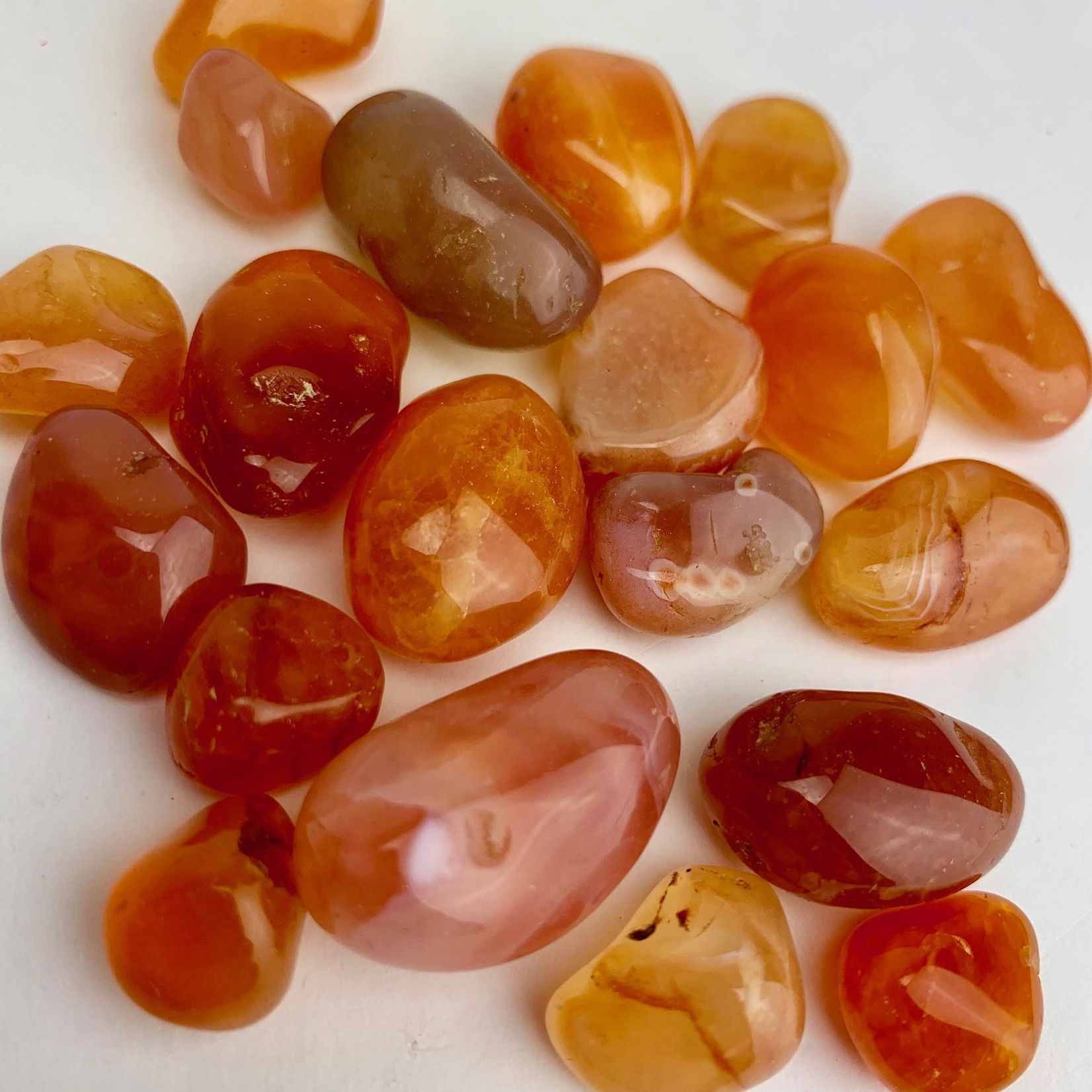 Carnelian | Tumbled