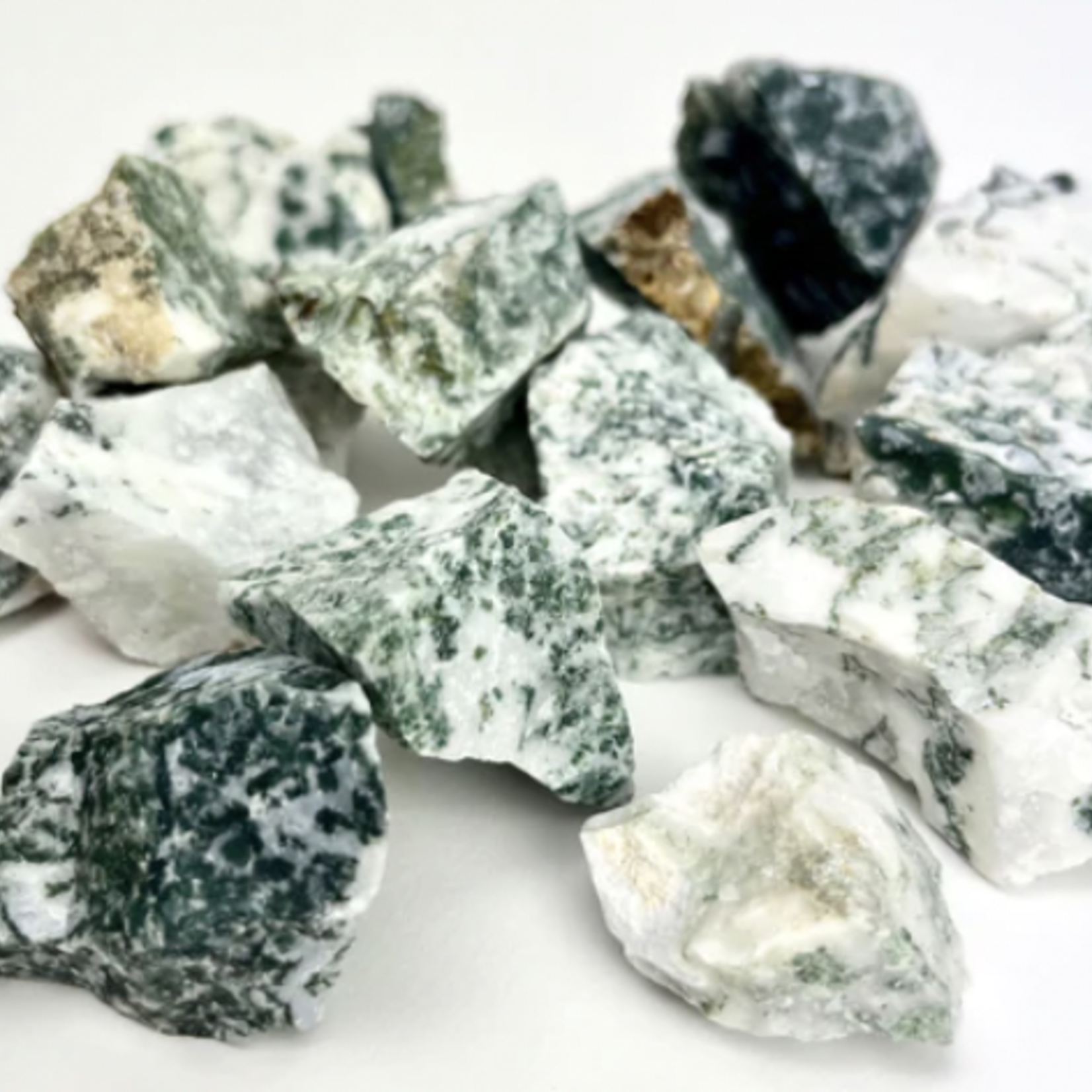 Village - Charleston Tree Agate | Rough | 35-45mm | India