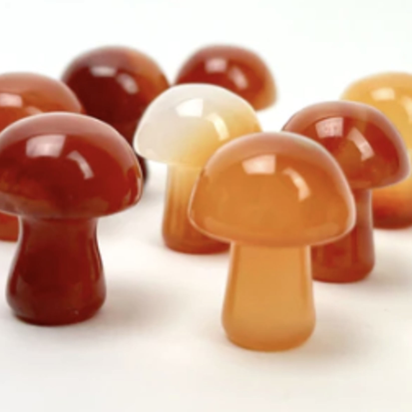 Mini Magic Mushroom | 20mm | Carnelian