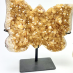 Citrine Cluster Butterfly