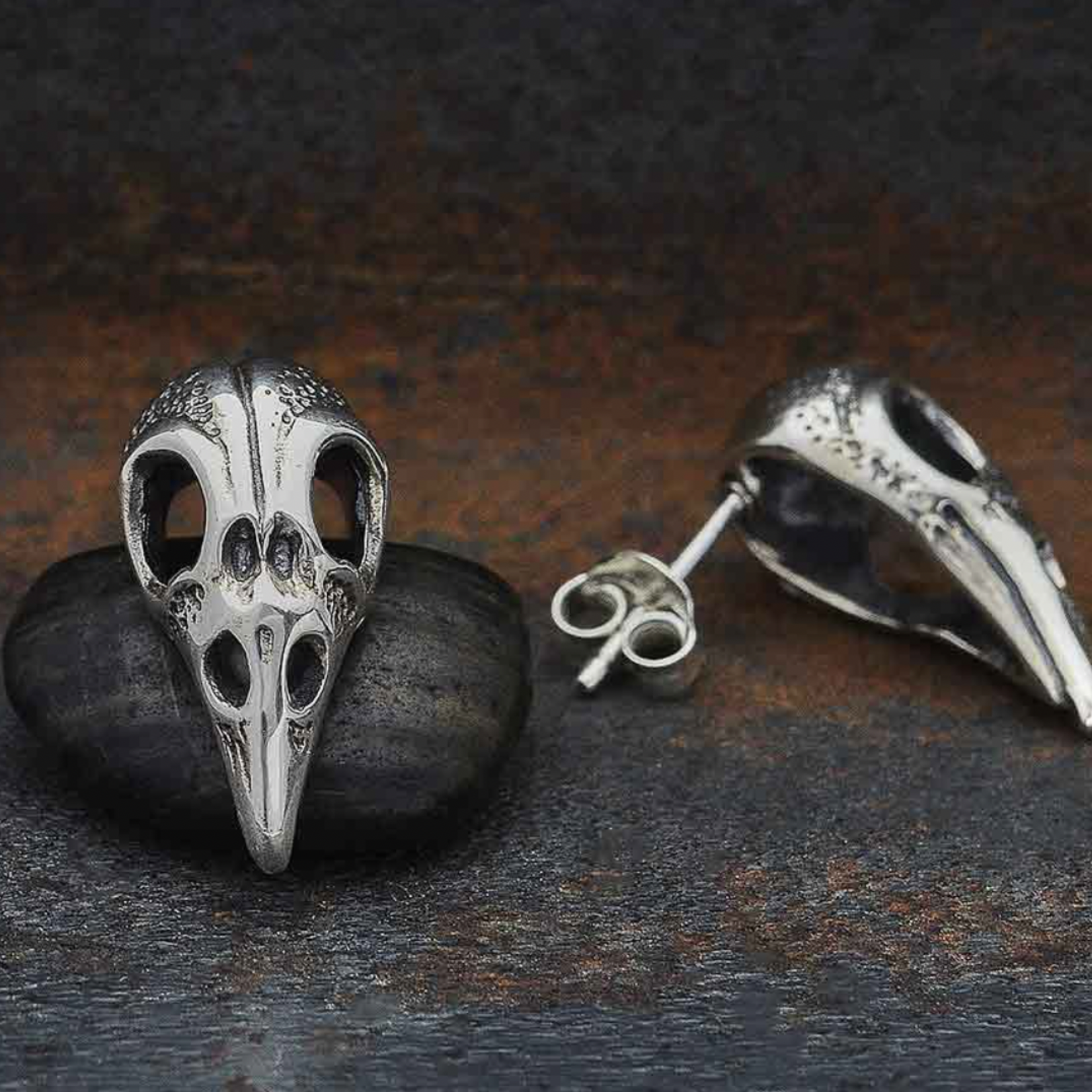 *Raven Skull Post Earrings · Silver