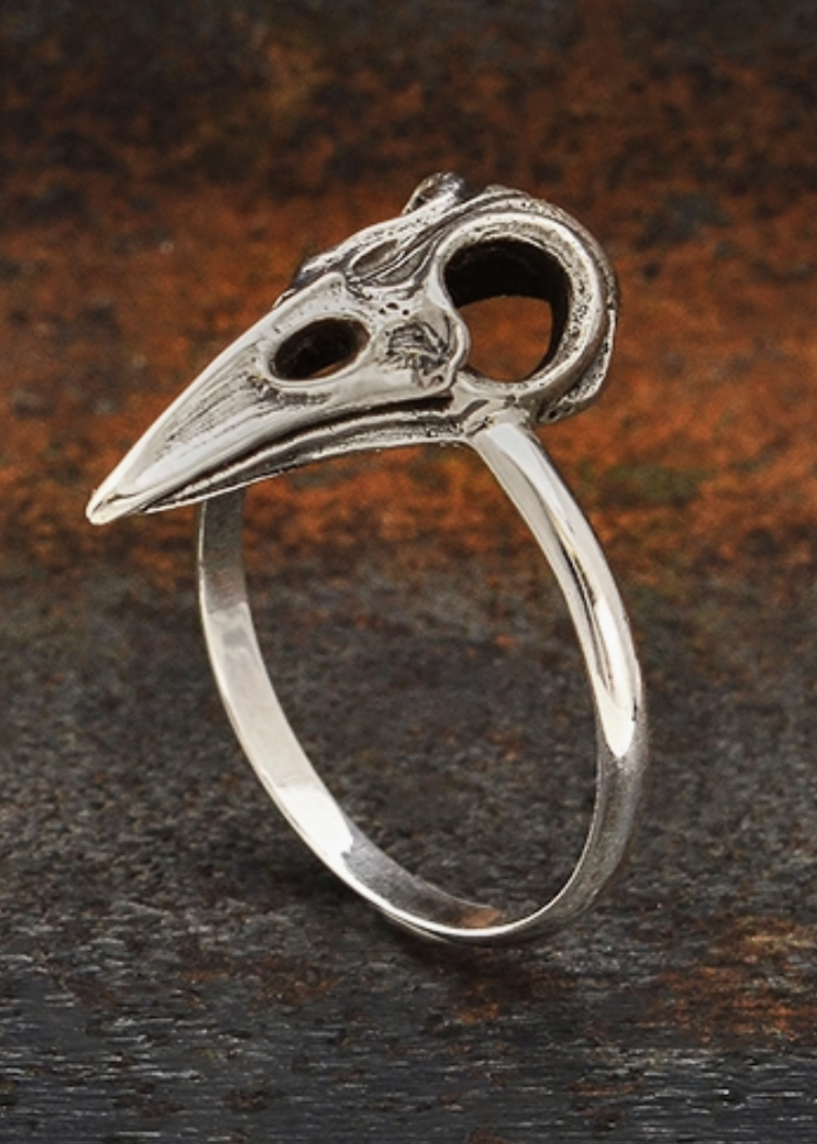 Sterling Silver Raven Skull Ring - 8
