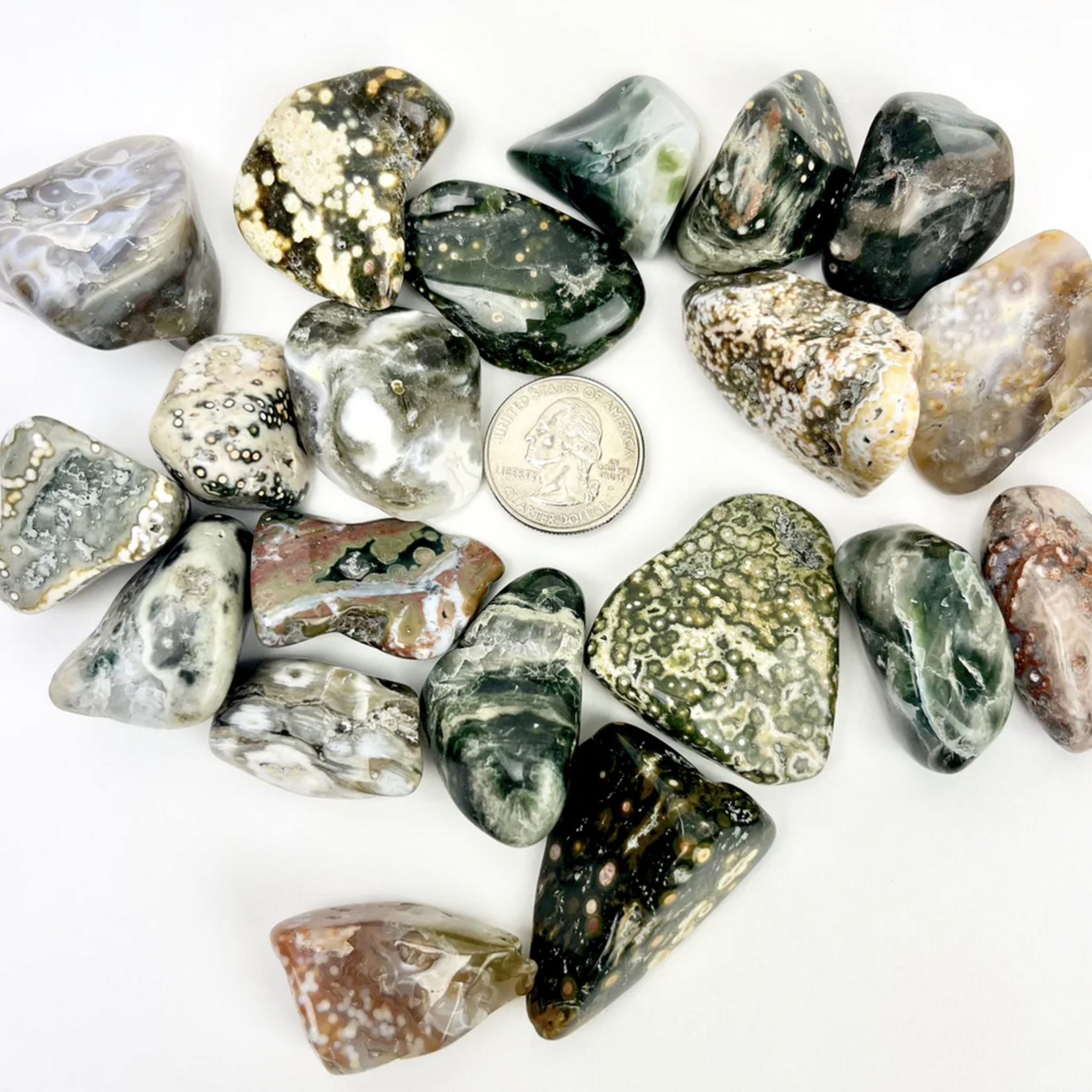 Ocean "Orbicular" Jasper | Tumbled | 20-30mm | Madagascar